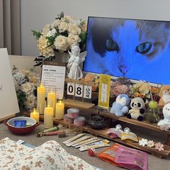 宠物家长客户见证