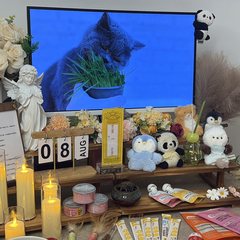 宠物家长客户见证