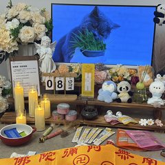 宠物家长客户见证
